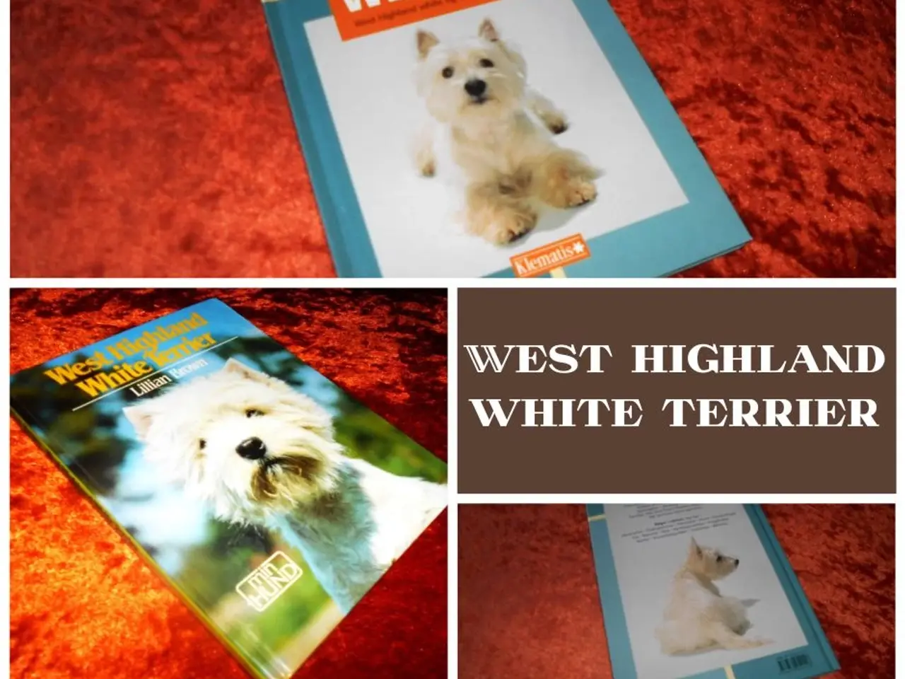 Billede 1 - West highland white terrier, Lillian Brown m.fl