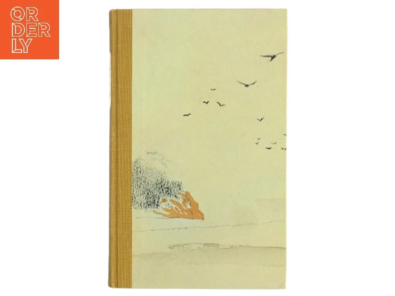 Billede 1 - The Sketch Book of Geoffrey Crayon (Bog)