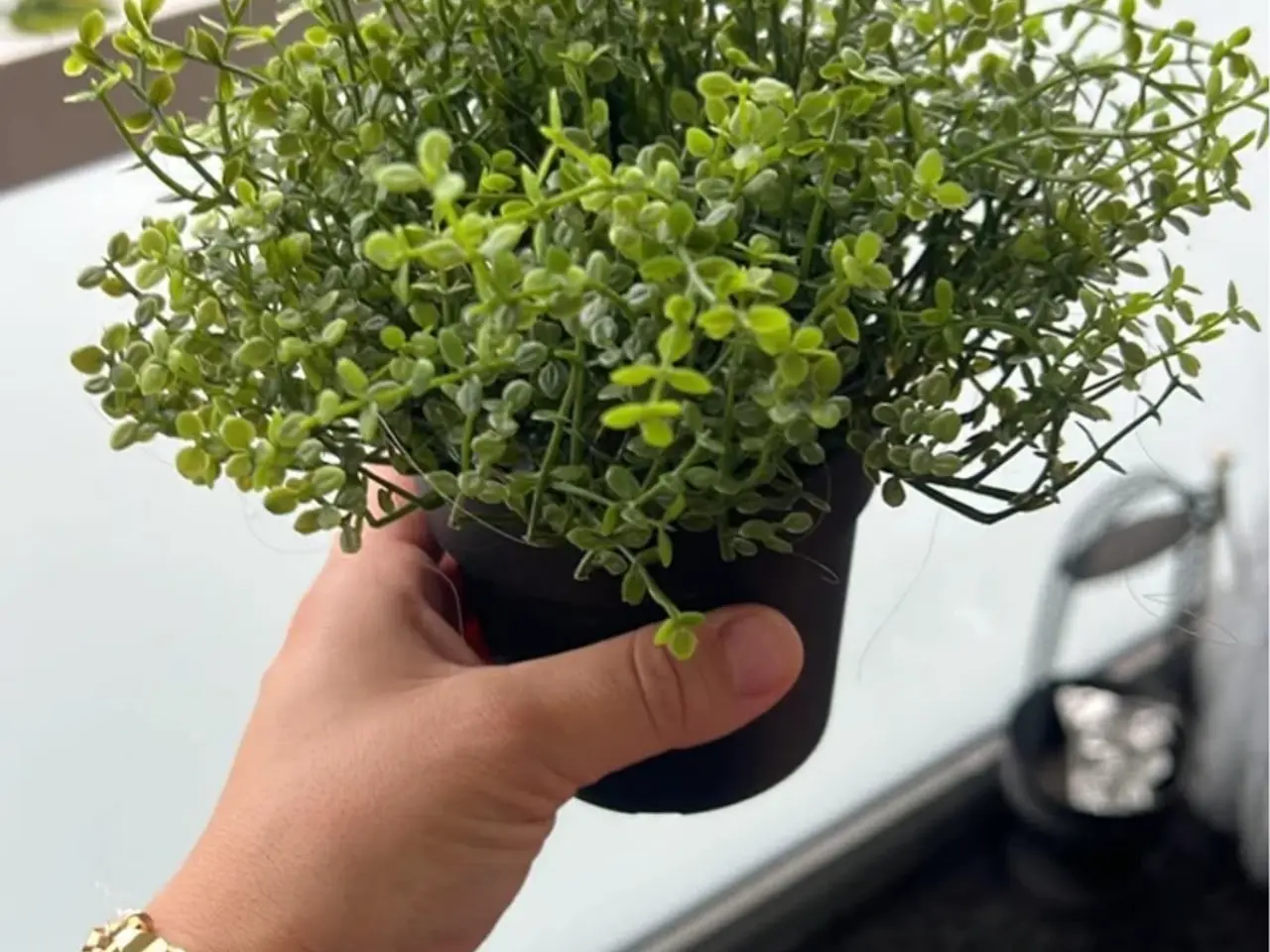 Billede 2 - Kunstig planter 