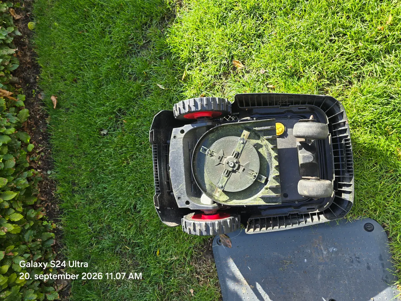 Billede 12 - AL-KO Robolinho 1150w robotplæneklipper 
