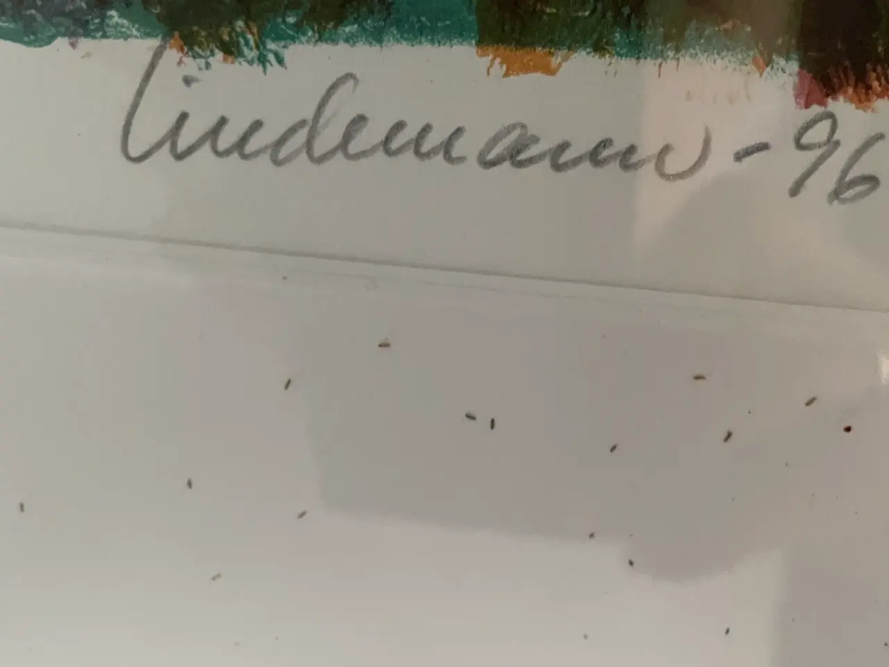 Billede 2 - Kai Lindemann litografi i glas og ramme 