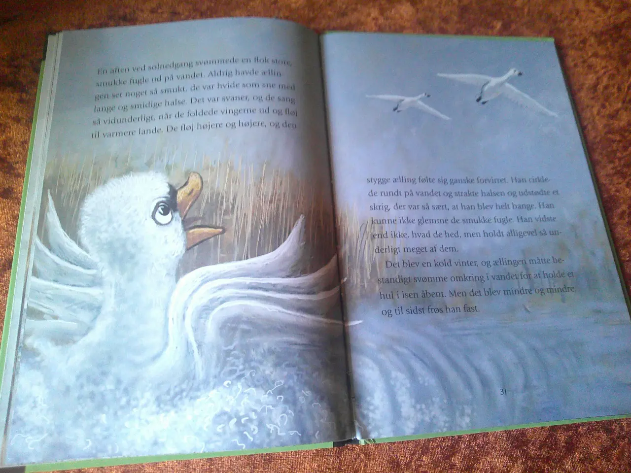 Billede 5 - Den grimme ælling, H. C. Andersen