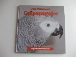 Gråpapegøjer