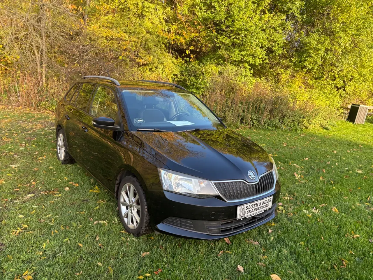 Billede 1 - Skoda Fabia 1,2 TSi 90 Style Combi