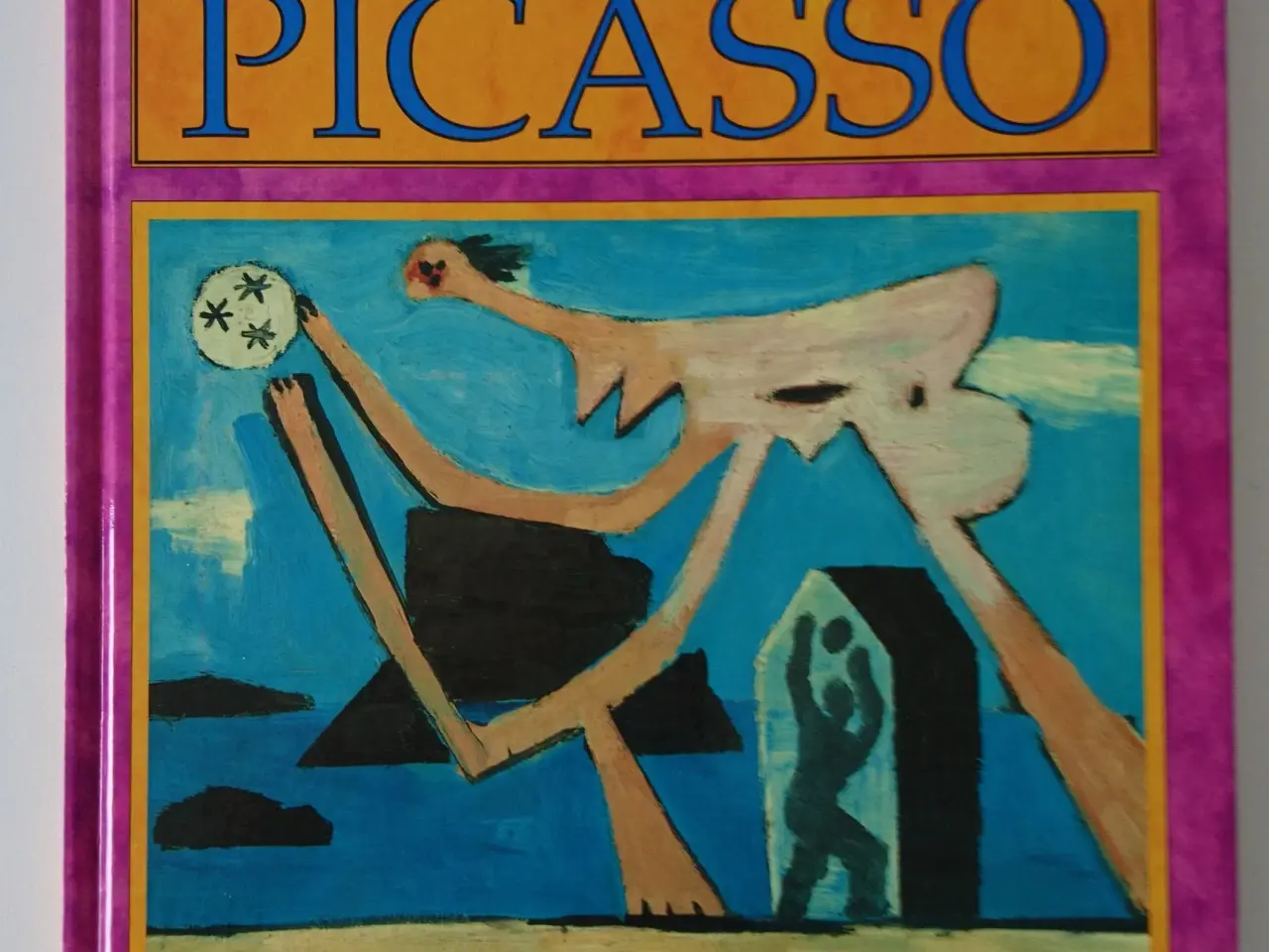 Billede 1 - Picasso. Af Antony Mason