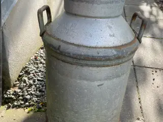 Mælkejunge
