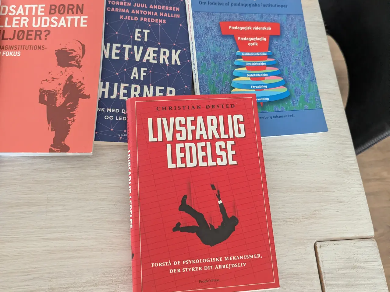 Billede 5 - Fagbøger omhandlede, pædagogik og ledelse