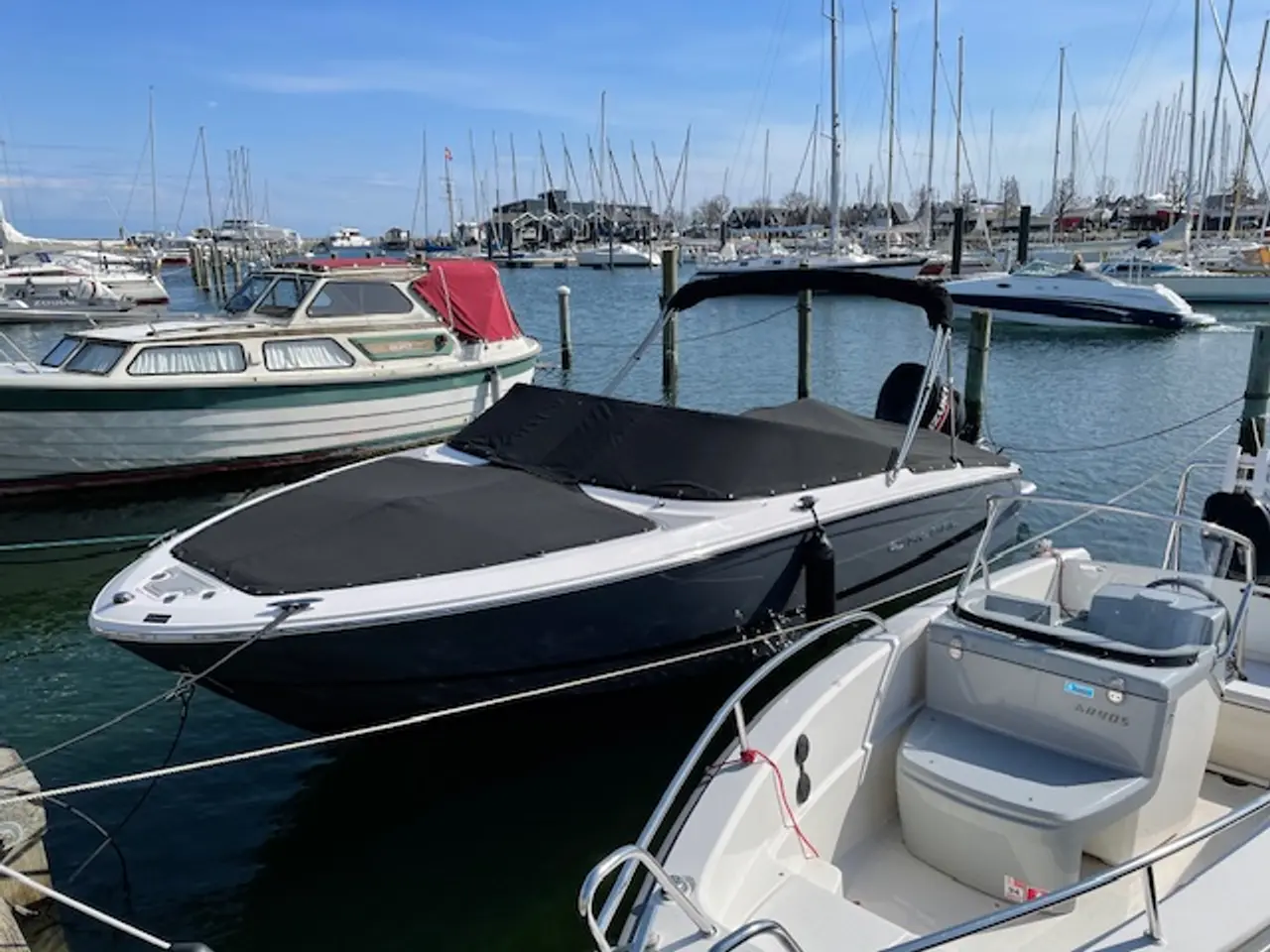 Billede 3 - NEDSAT Regal LX2 med Suzuki 250HK V6