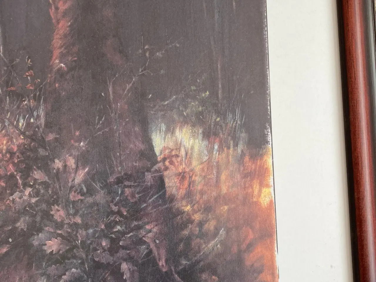 Billede 3 - Flot naturbillede af Steen Axel Hansen 14/50..