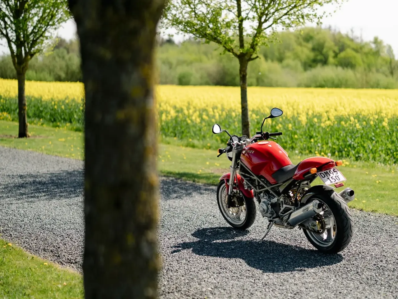 Billede 4 - 1997 Ducati 900 Monster