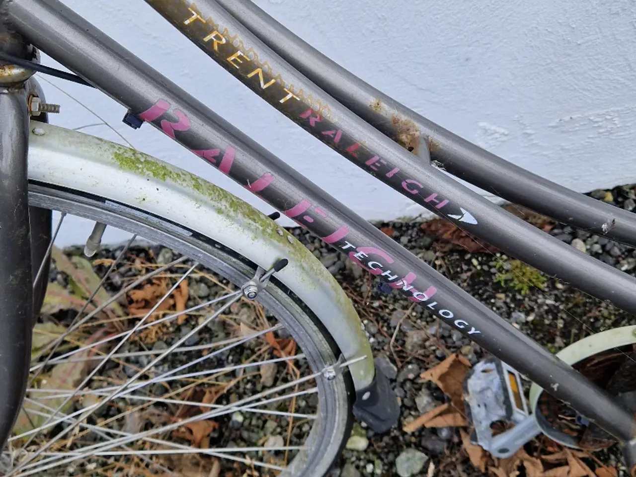 Billede 4 - Cykler til rugbrødsmotor.