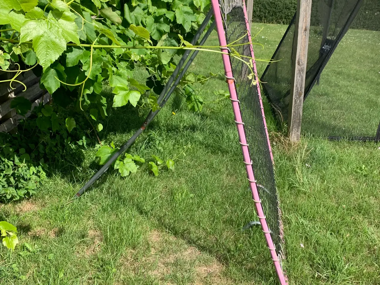Billede 3 - Fodbold trampolin