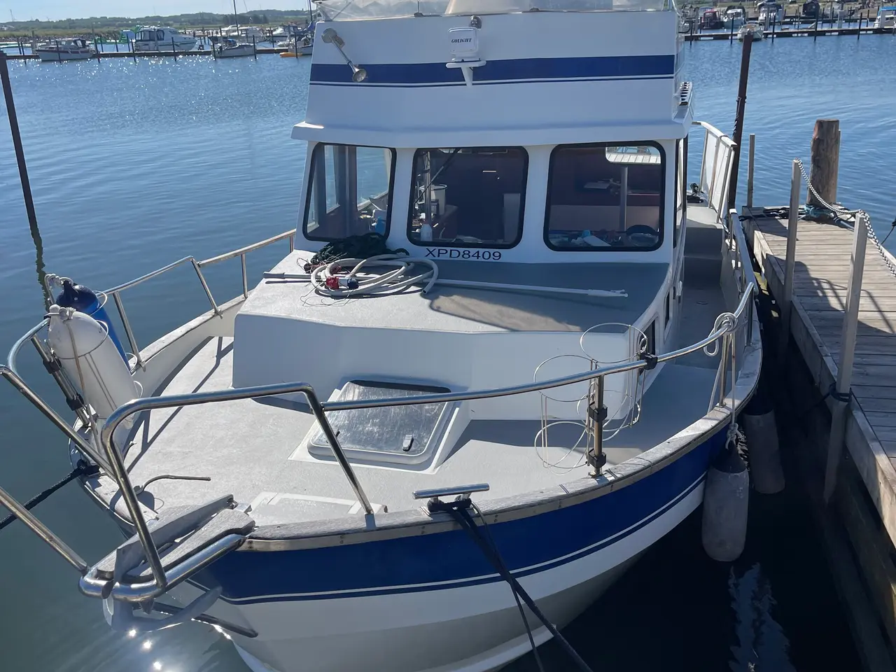 Billede 2 - Husky Dane 850