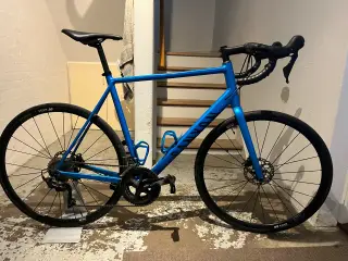 Canyon Endurace AL 7 Disc – Str. XL – Shimano 105