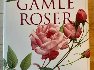 Gamle roser af Hugo Lykke