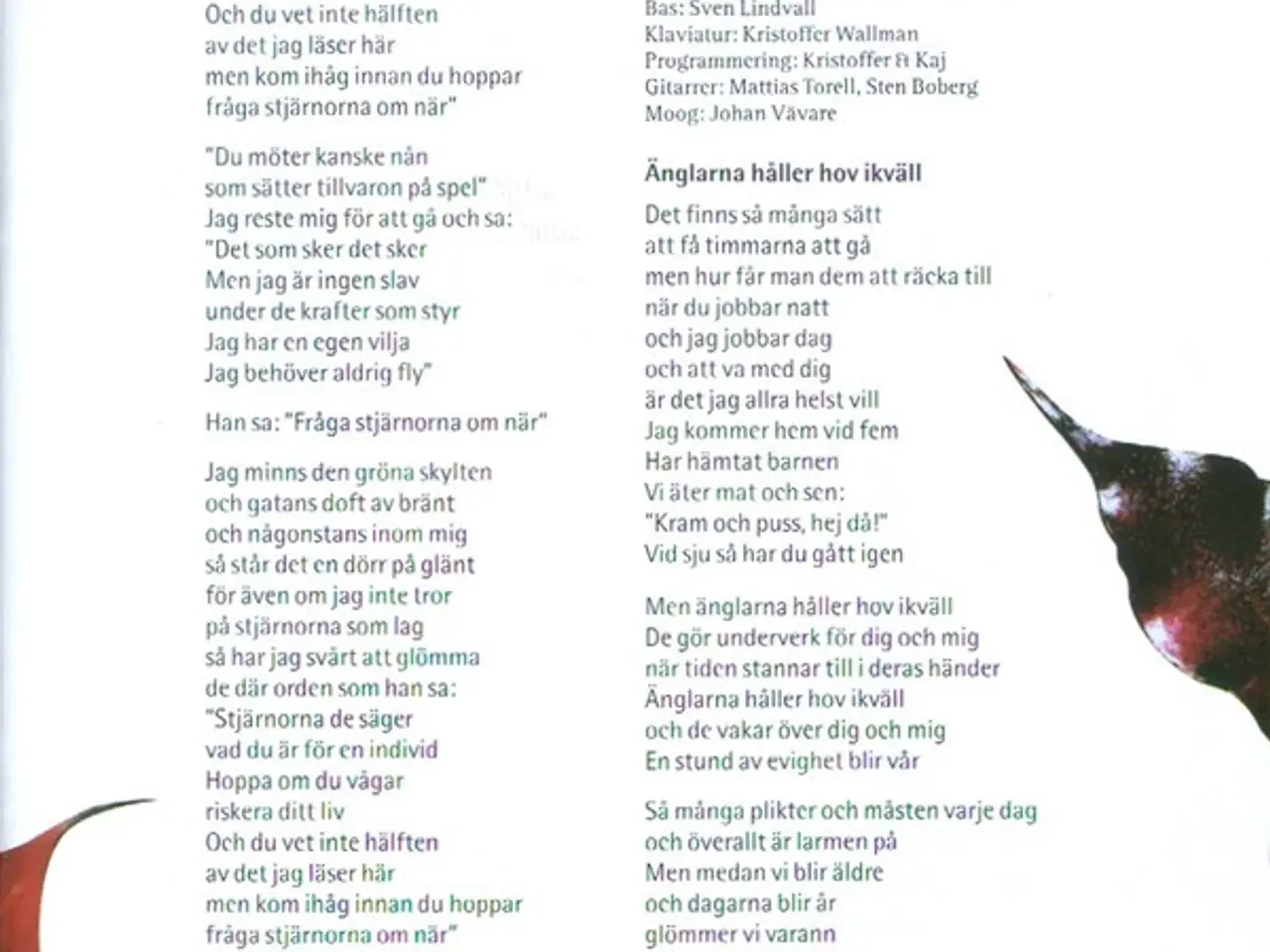 Billede 6 - Cajsa Stina Åkerström – Cajsa Stina – CD