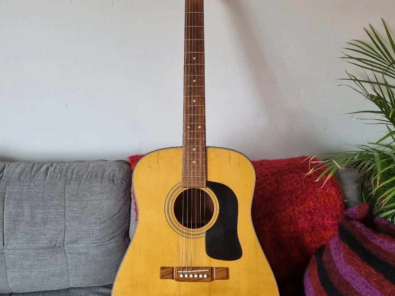 Billede 1 - Washburn D12N