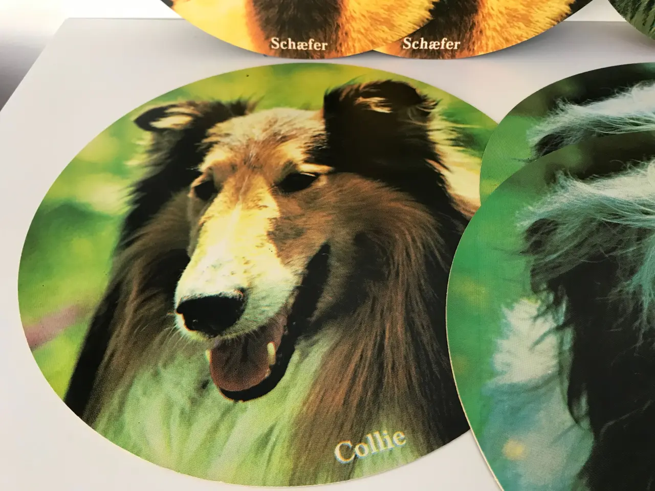 Billede 4 - 8 stk retro papskilte med hunde