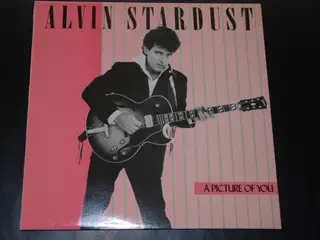2 stk. lp - Alvin Stardust