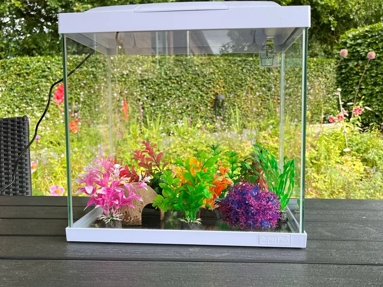 Billede 2 - Akvarie 25 l med diverse tilbehør