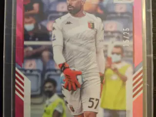 Salvatore Sirigu 15/25 Fodboldkort