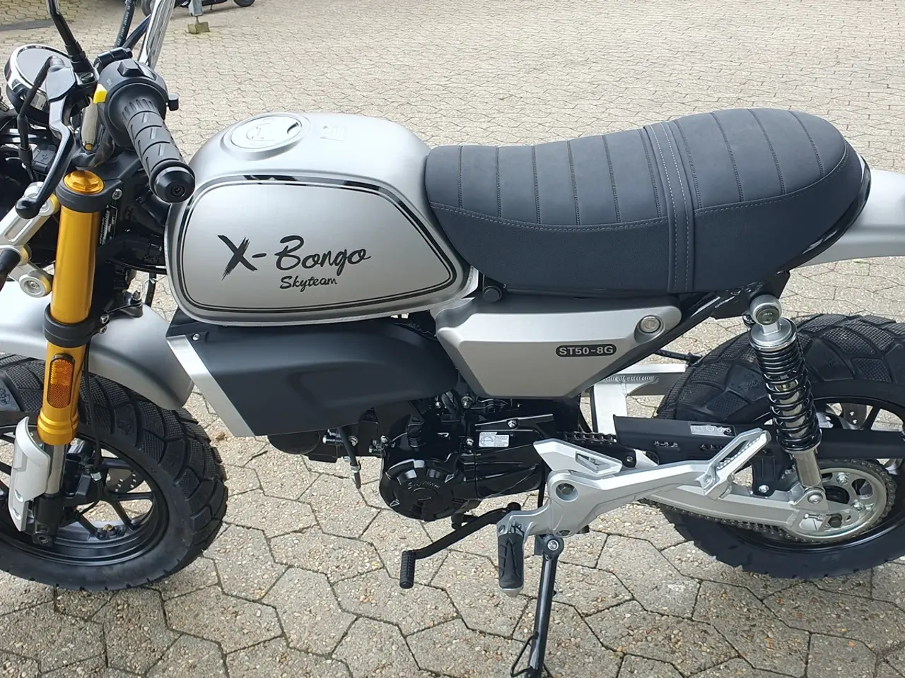Billede 3 - SkyTeam X-Bongo 30 km