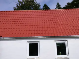 Tagstensprofil