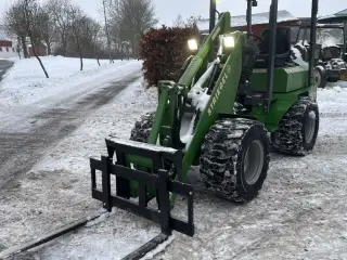 Striegel 305ya