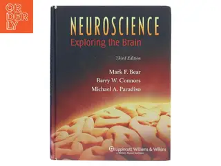 Neuroscience : exploring the brain (Bog)