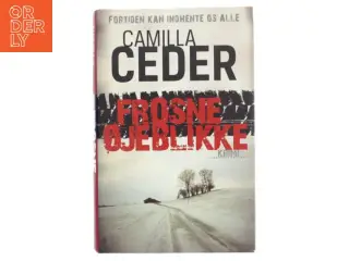 Frosne øjeblikke af Camilla Ceder (Bog)