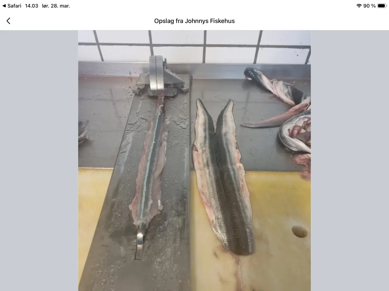 Billede 1 - KØBES 1 STK HORNFISK UDBENER JERN I RUSTFRIT STÅL