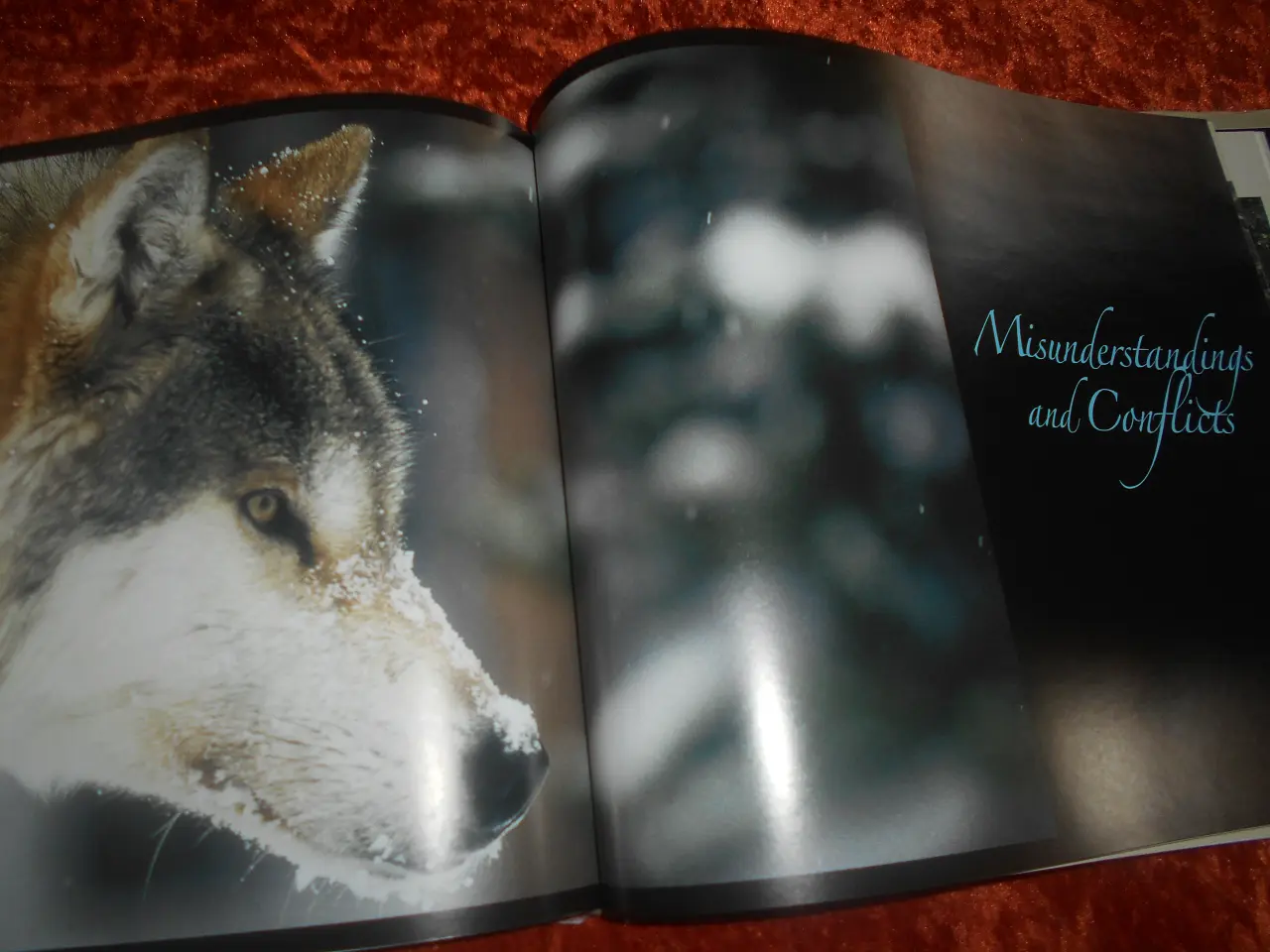 Billede 4 - Living With Wolves, Jim Dutcher Jamie Dutcher