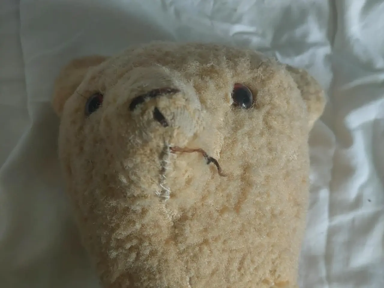 Billede 4 - 70 år gammel bamse