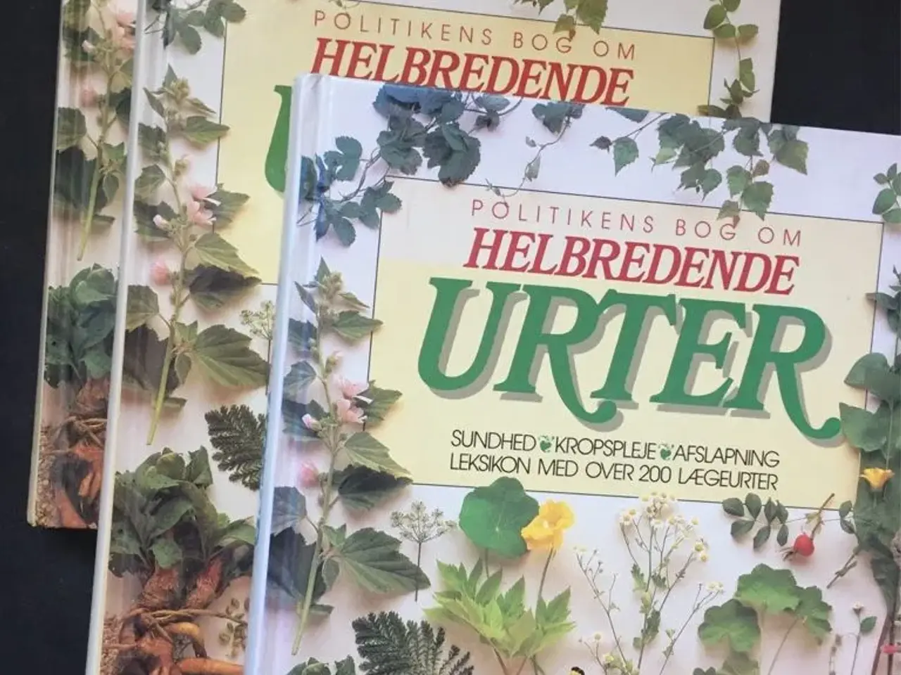 Billede 2 - HELBREDENDE URTER - 200+ lægeurter