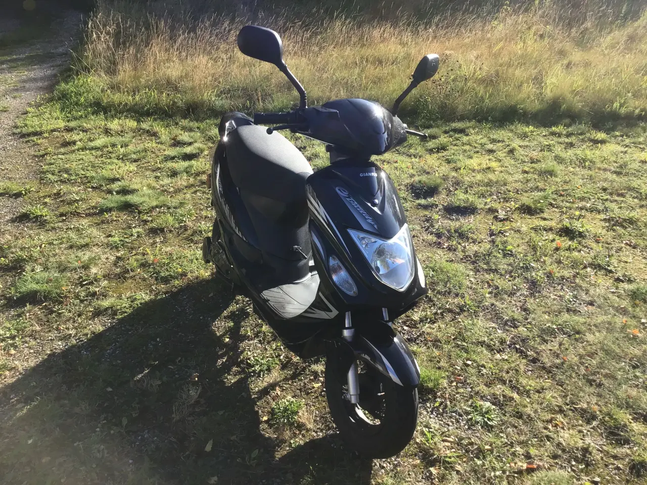 Billede 6 - Giantco e-buddy 45