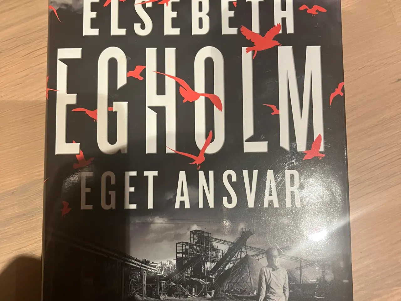 Billede 1 - Elsebeth Egholm - Eget ansvar