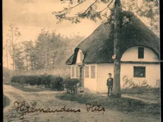 Hindsgavl Skov - Peter Alstrup 611 - Brugt