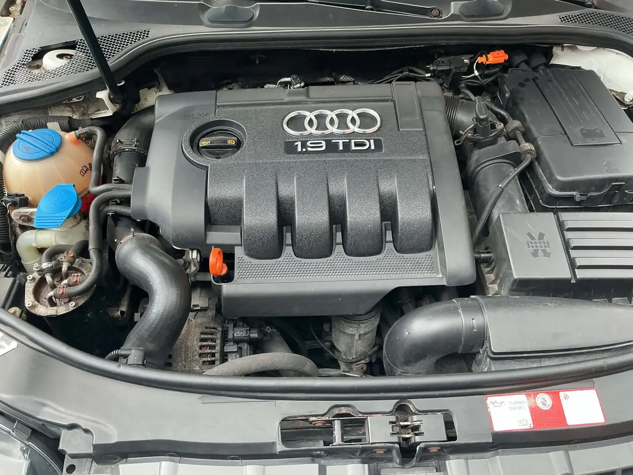Billede 6 - Audi A3 8P 1.9 TDI, nysynet, velholdt og økonomisk