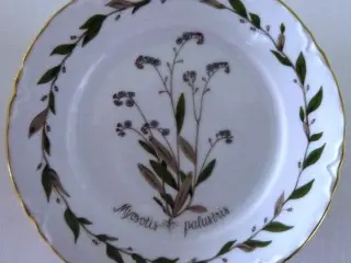 Flora Nordic Hutschenreuther kagetellerken