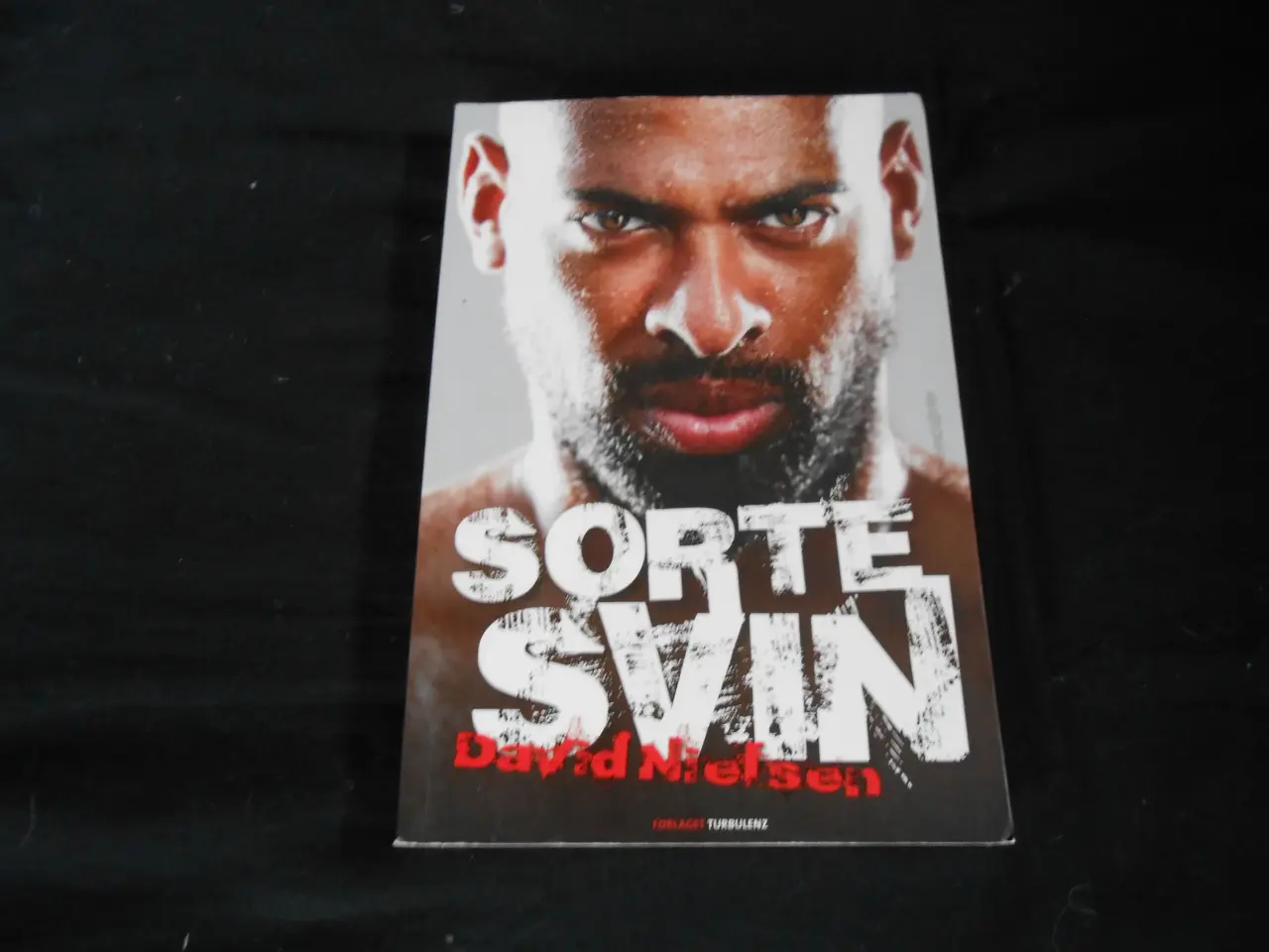 Billede 1 - Sorte svin David Nielsen
