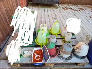 Foder og vand dispensere til høns