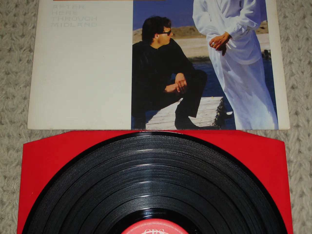 Billede 1 - (Sender gerne) Cock Robin – After Here Through Mid