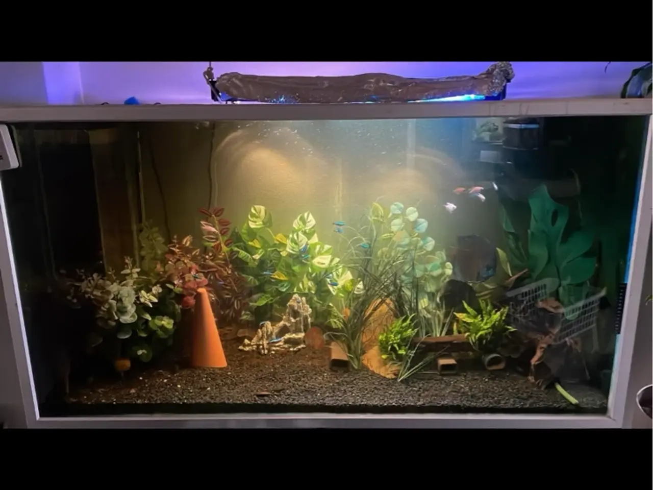 Billede 2 - 720 ltr akvarie