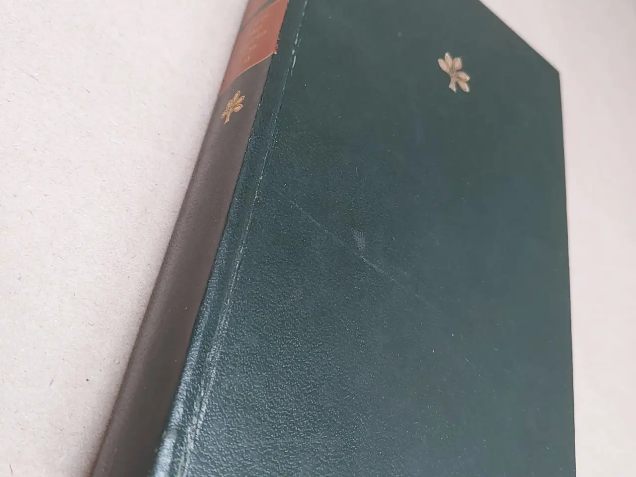 Billede 2 - Stormfulde højder – Emily Brontë – Gyldendal 1966