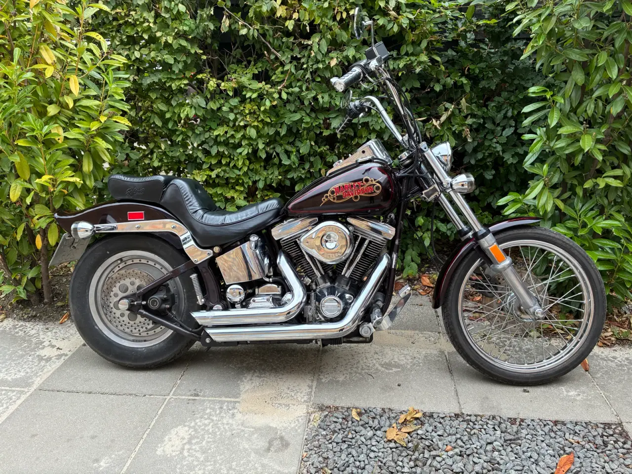 Billede 1 - Harley