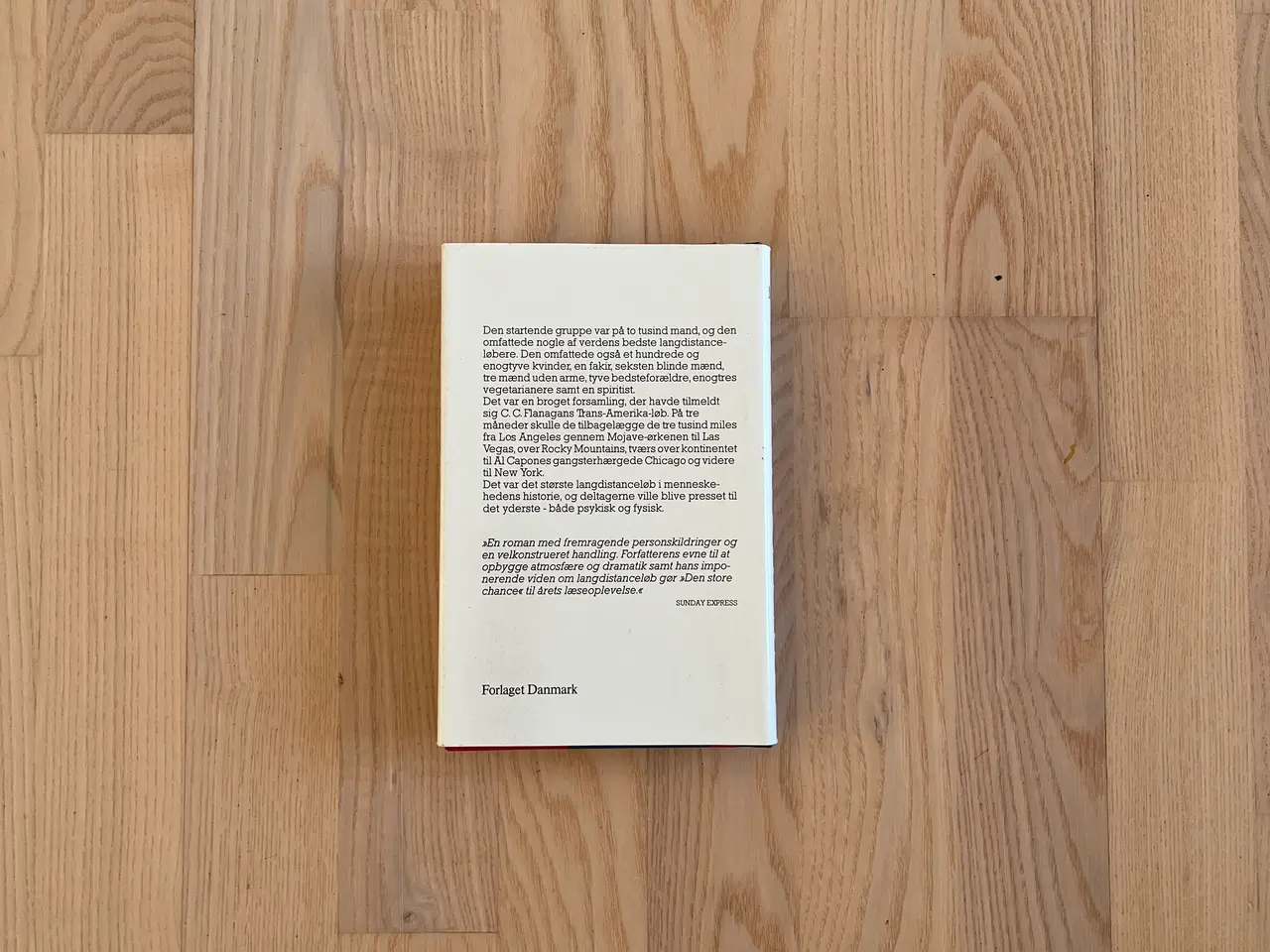 Billede 2 - Den store chance - af Tom McNab