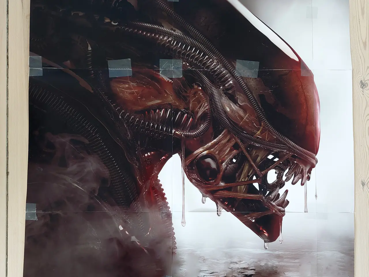 Billede 1 - Kæmpe Alien Xenomorph Plakat – samlet med tape