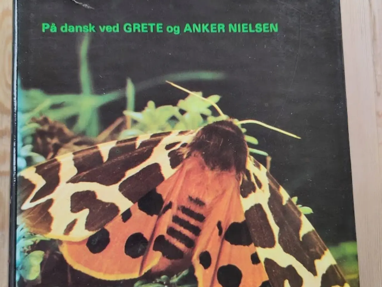 Billede 1 - insekter