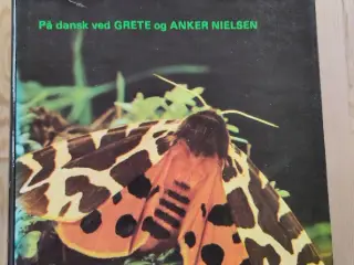 insekter