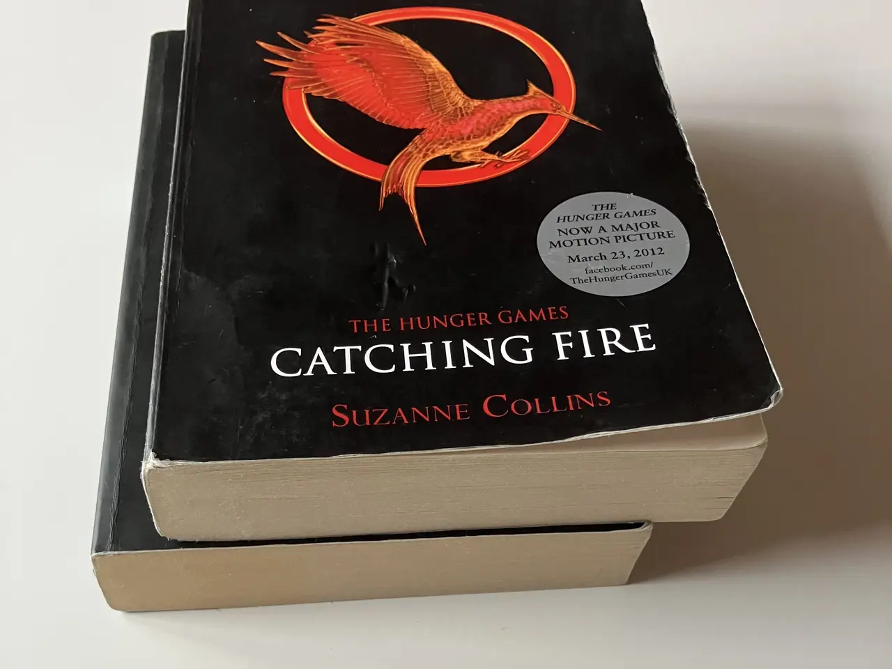 Billede 4 - Catching Fire + Mockingjay (2 books)